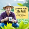 brook and barrel organic tea farm premium loose leaf tea