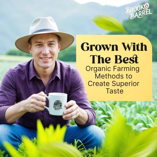 Brook and Barrel Loose Leaf Organic Earl Grey Tea – USDA Certified Organic – 6oz Glass Sample Jar – Premium Gourmet Tea - Image 6