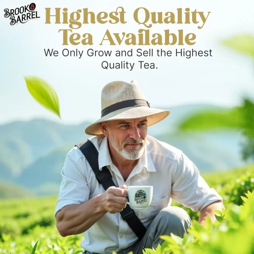 1.6lbs USDA Organic English Breakfast Tea – Brook & Barrel Tea - Glass Jar - Image 11