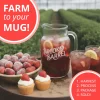 brook and barrel tea farm greenhouse strawberry flavored premium organic tea