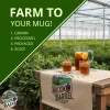green tea brook and barell organic tea farm premium tea supplier