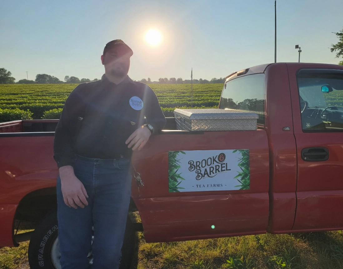 American Grown Organic Tea Brook & Barrel Farms